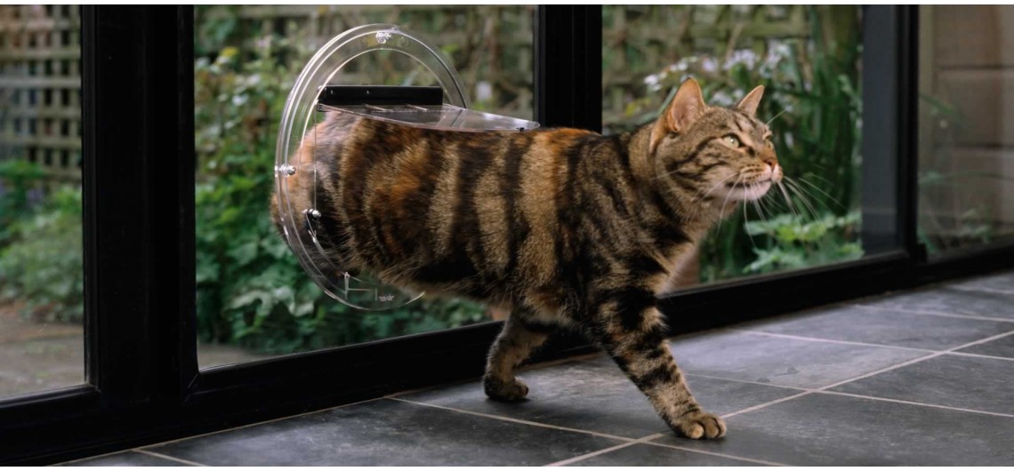 Transcat Clear Cat Door