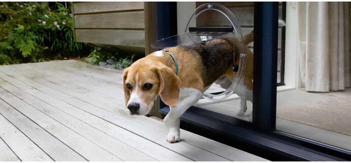 Transcat Dog Door