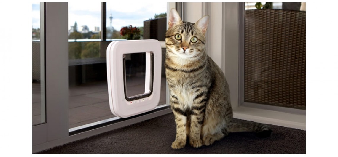 Transcat White Cat Door